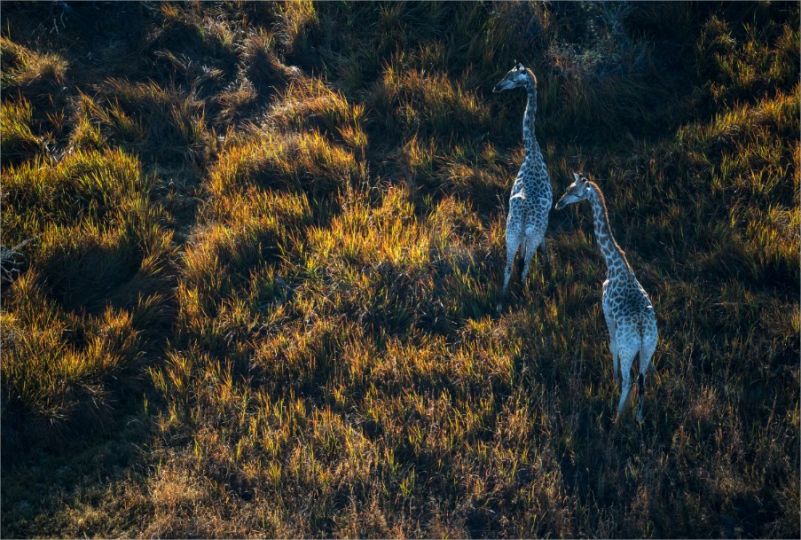 © Yann Arthus-Bertrand