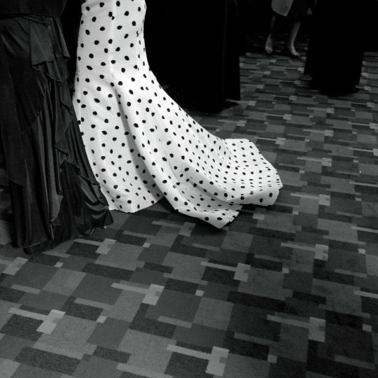Polarities © Larry Fink