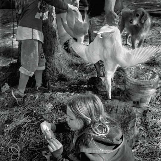Polarities © Larry Fink