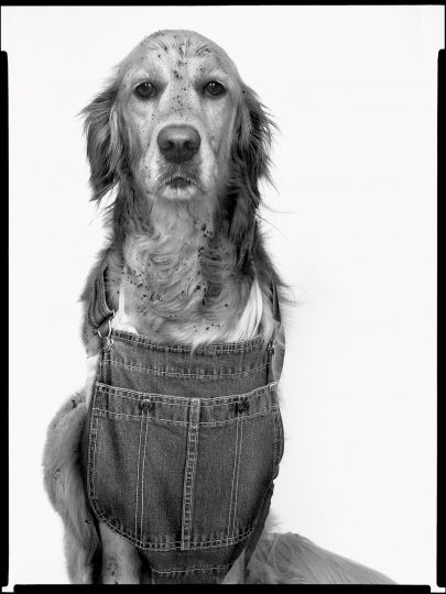 Max by Richard Raveudo © Vincent Flouret