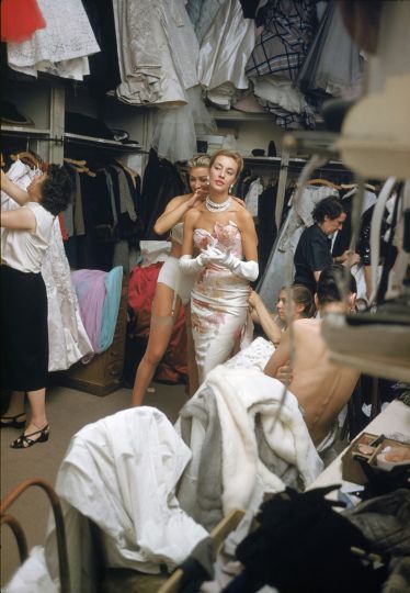 © Mark Shaw / mptvimages.com