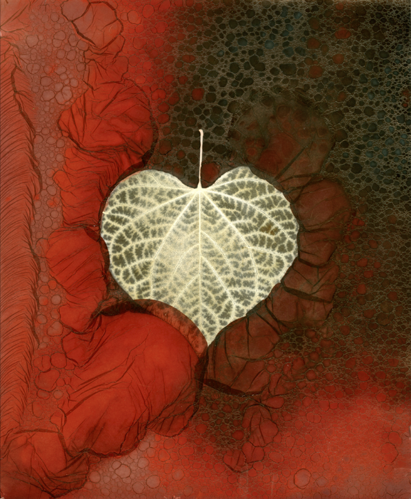 © Elizabeth Opalenik