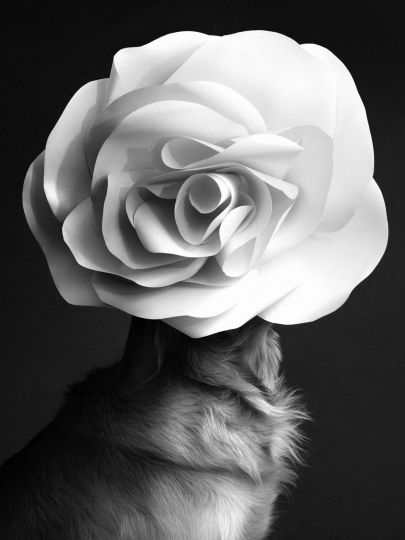 Max by Patrice Meumarchelier © Vincent Flouret