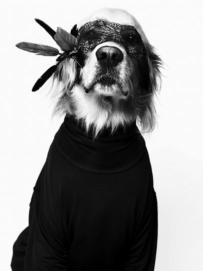 Max by Dave Itsims © Vincent Flouret