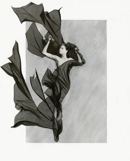 © Elizabeth Opalenik