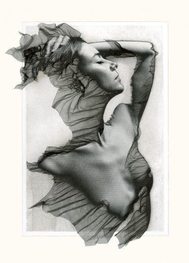 © Elizabeth Opalenik