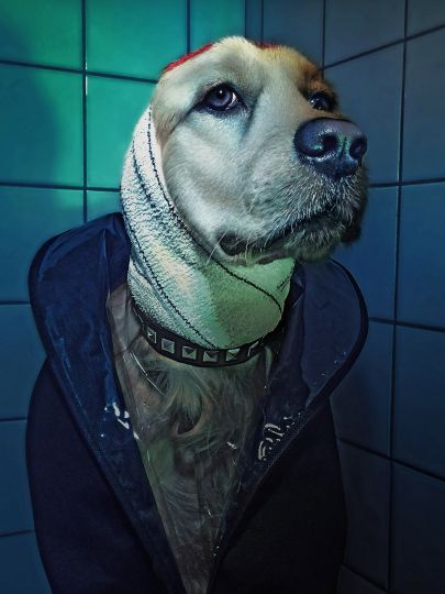 Max by Steven Klaïne © Vincent Flouret