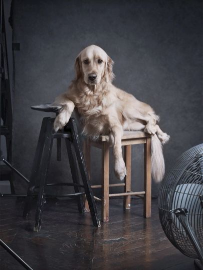 Max by Amy Leiboviche © Vincent Flouret