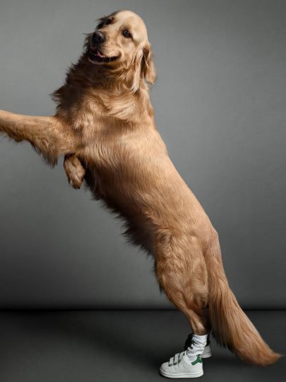 Max by Ines & Minou © Vincent Flouret