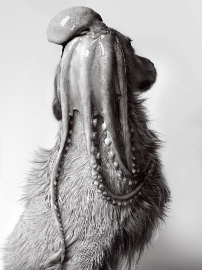 Max by Herbert Ritz © Vincent Flouret