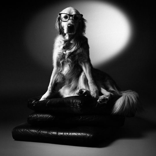 Max by Jeanne Ouissief © Vincent Flouret
