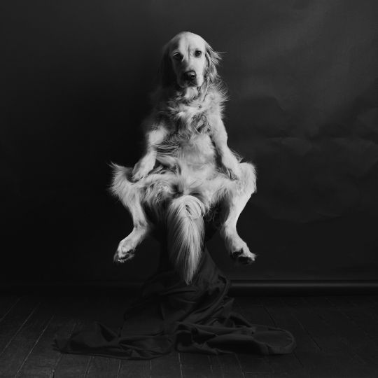 Max by Roberta Peultorpe © Vincent Flouret