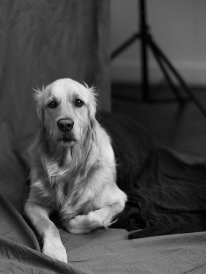 Max by Peter Linbergue © Vincent Flouret