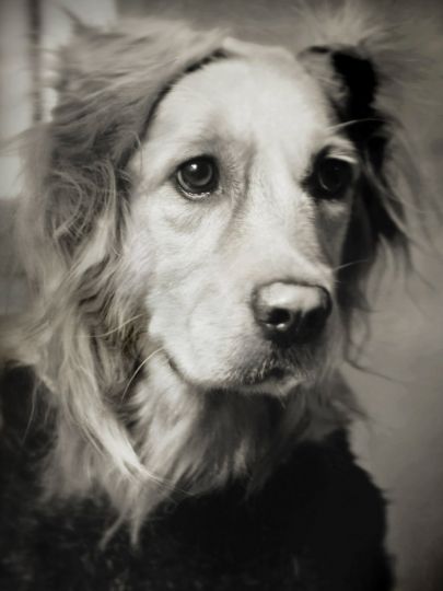 Max by Paola Riverso © Vincent Flouret