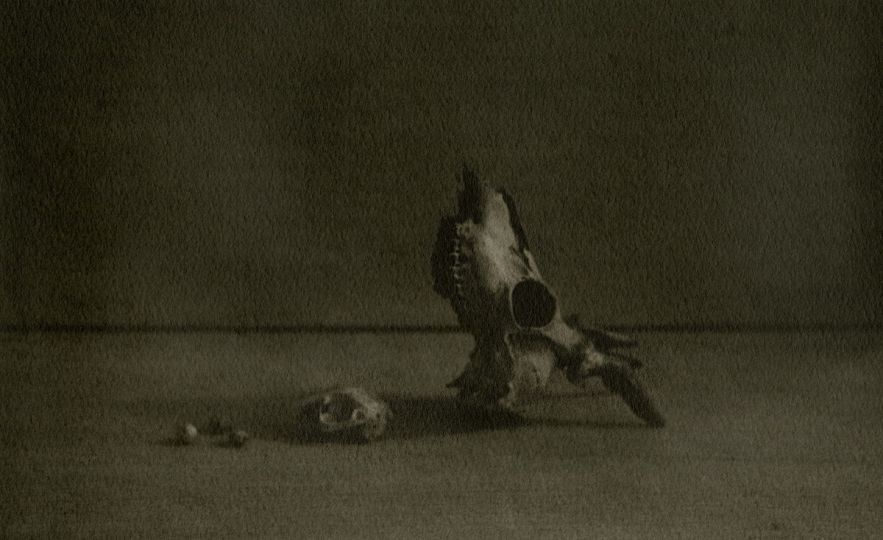 © Ayako Takaishi