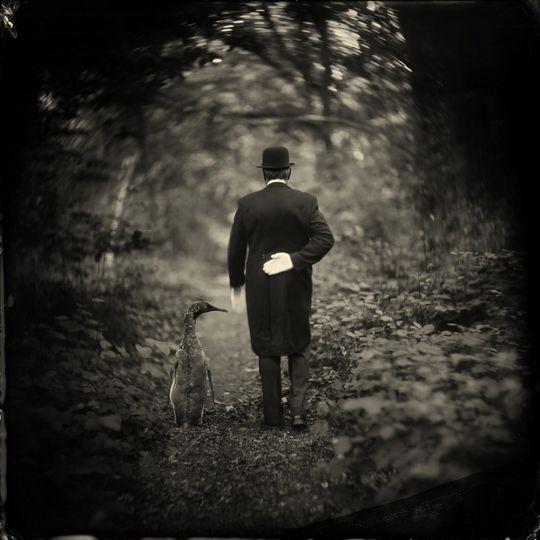 © Alex Timmermans