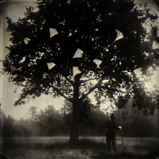 © Alex Timmermans