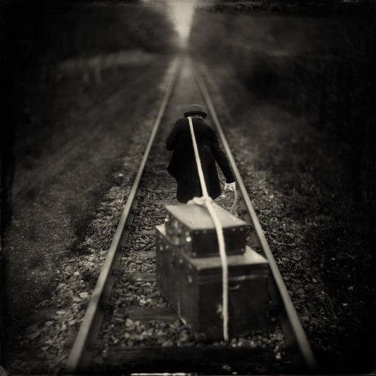 © Alex Timmermans