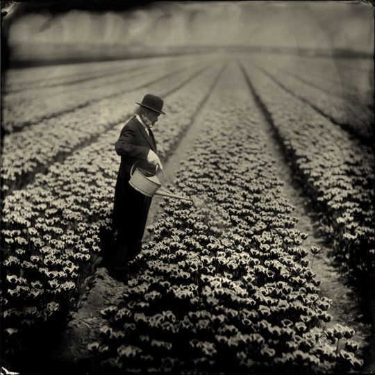 © Alex Timmermans