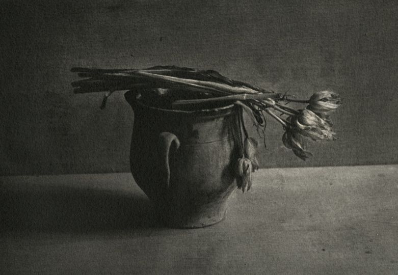 © Ayako Takaishi