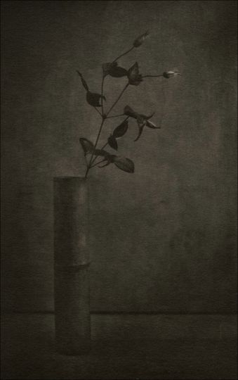 © Ayako Takaishi