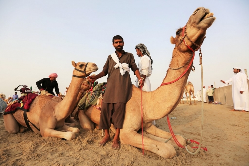 Alexandre Mounayer, Camel Race - The Eye of Photography ...