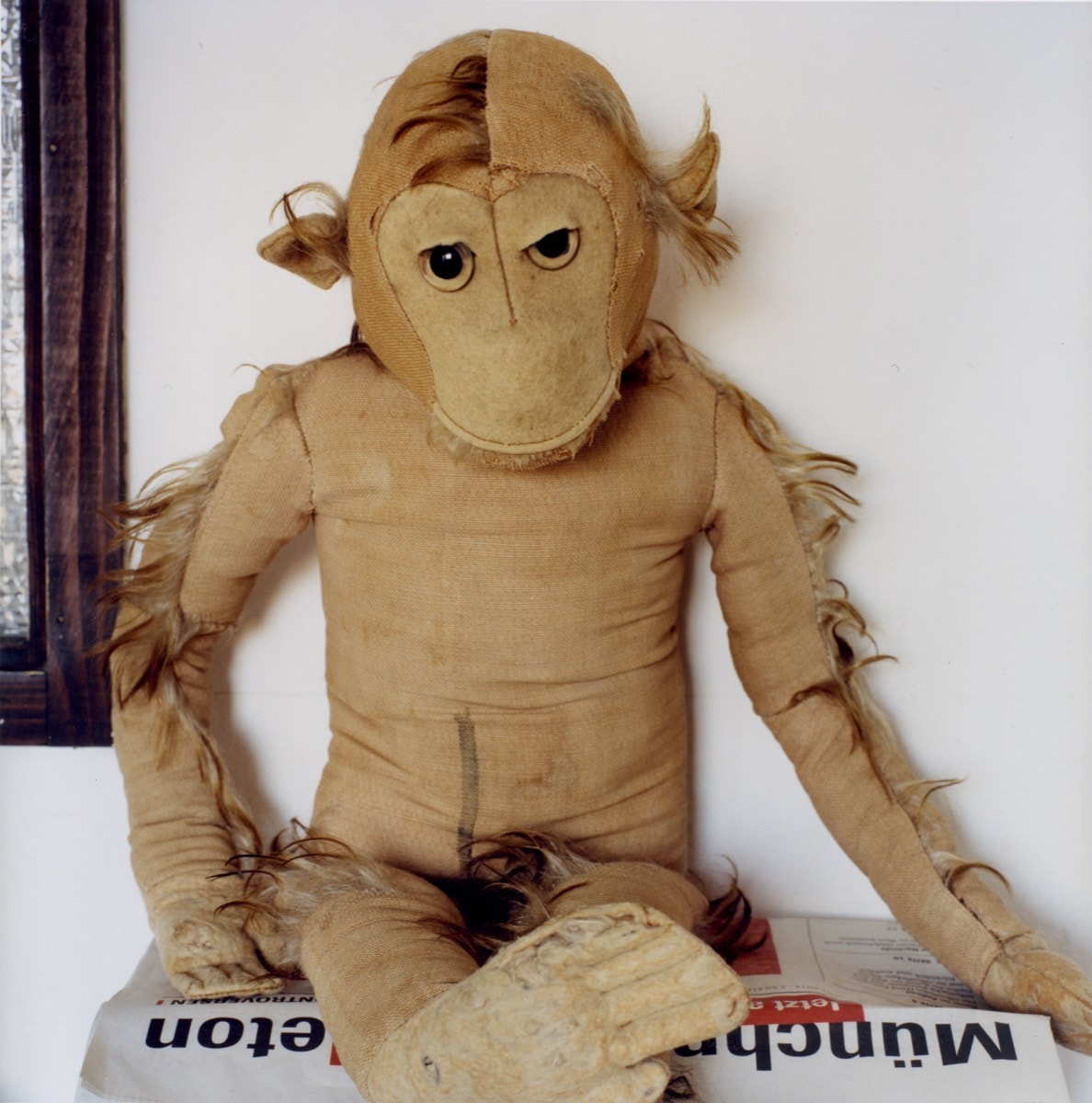 jane goodall stuffed monkey