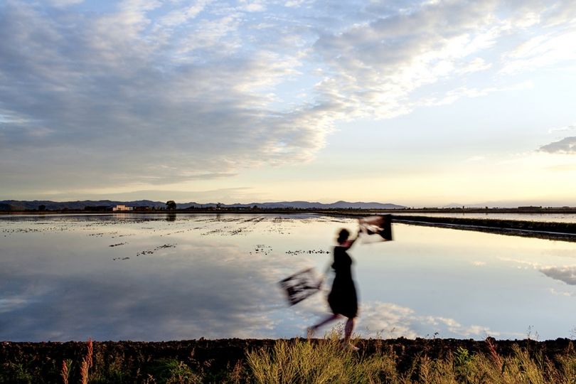 Dans le miroir des rizières © Sophie Zénon