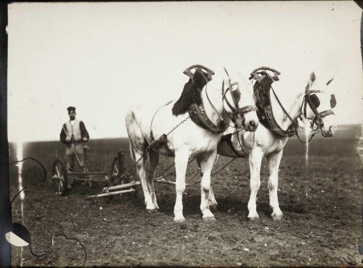Les Chevaux In dits D Eug ne Atget L il De La Photographie Magazine les-chevaux-in-dits-d-eug-ne-atget-l-il-de-la-photographie-magazine