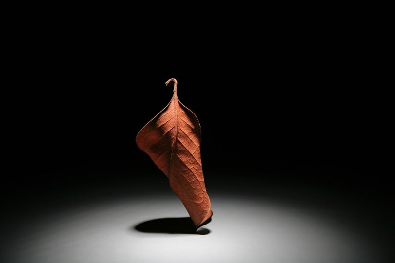 © Julieta Ansalas