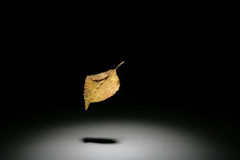 © Julieta Ansalas