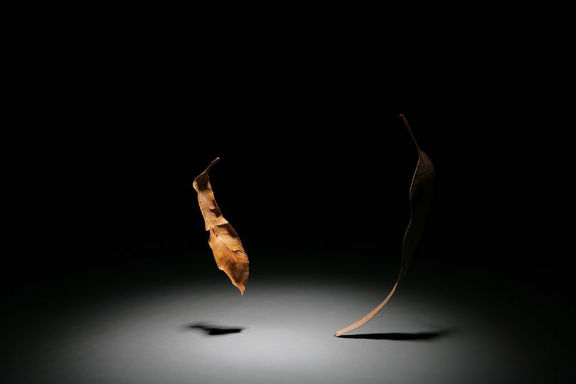 © Julieta Ansalas