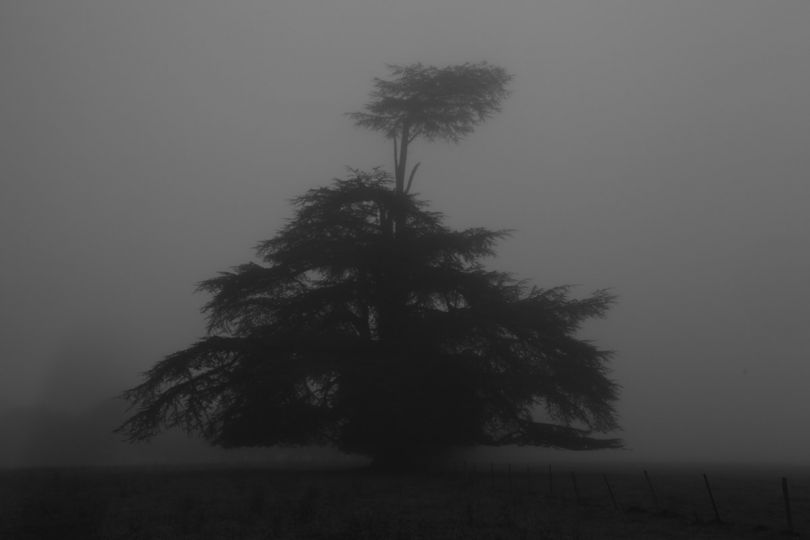 © Didier Barcelo