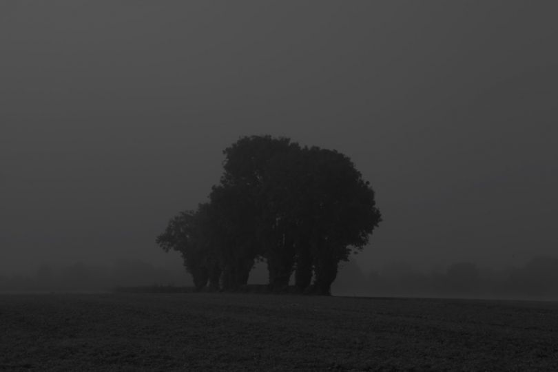 © Didier Barcelo
