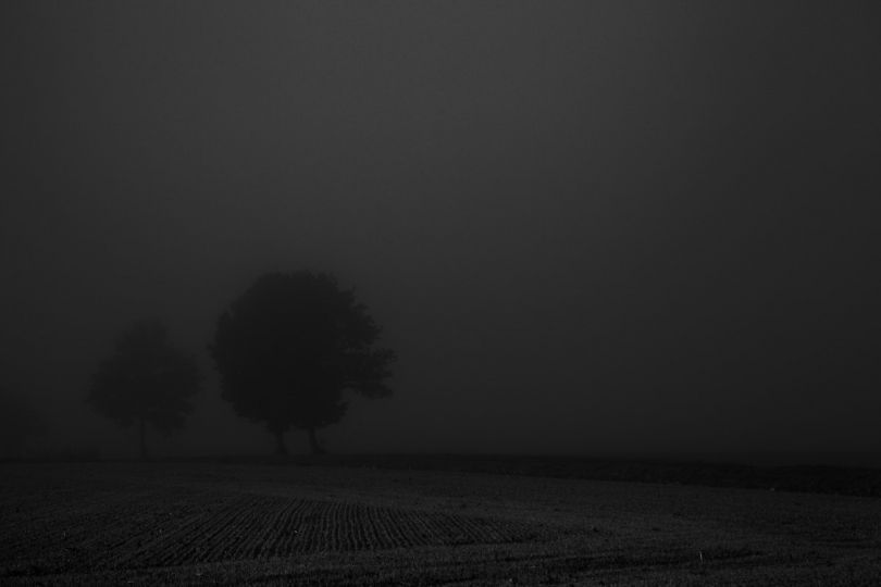© Didier Barcelo