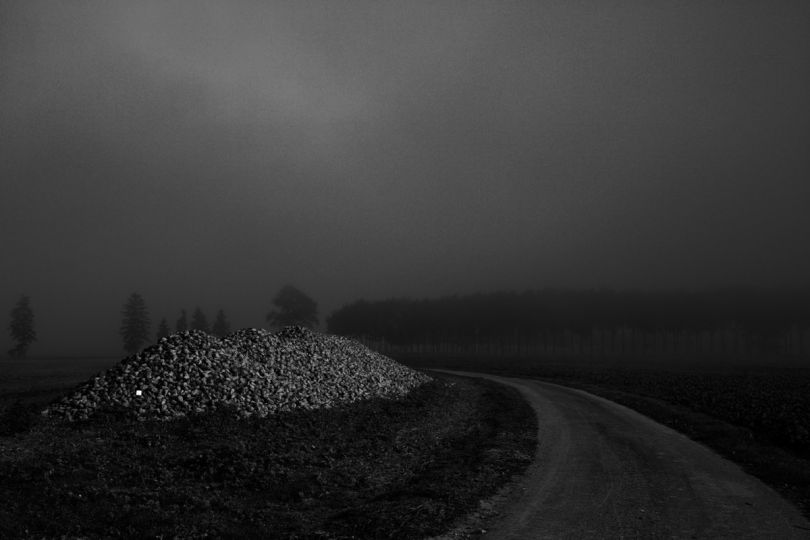 © Didier Barcelo