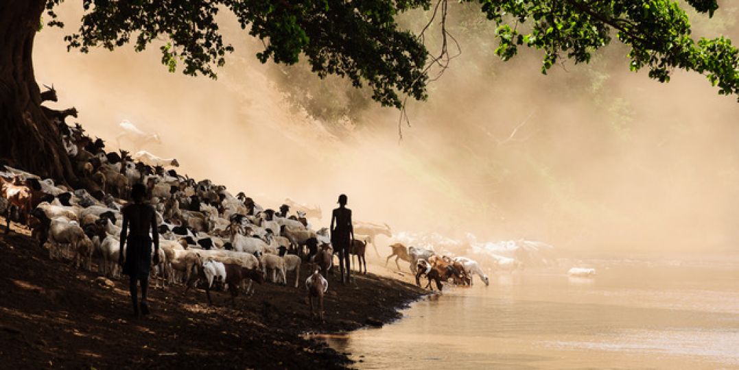 Murelle is the most commonly used watering spot for the Hammer and Kara tribes because of it's wide gently slope towards the river and beach like area that creates a very large easy access area for many animals at one time. © John Rowe