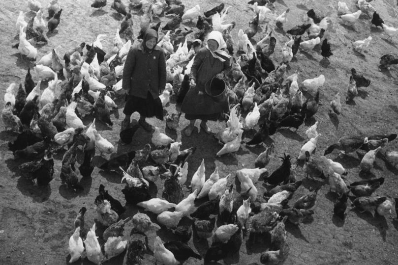 Rural duties 1934 © Mikhail Prekhner, Multimedia Art Museum, Moscow