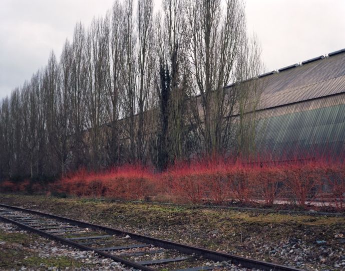 Prophet du photographe Geert Goiris, chez Roma Publications