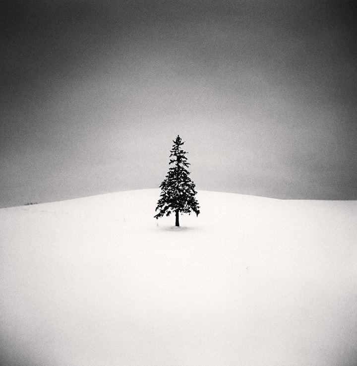 michael kenna holga