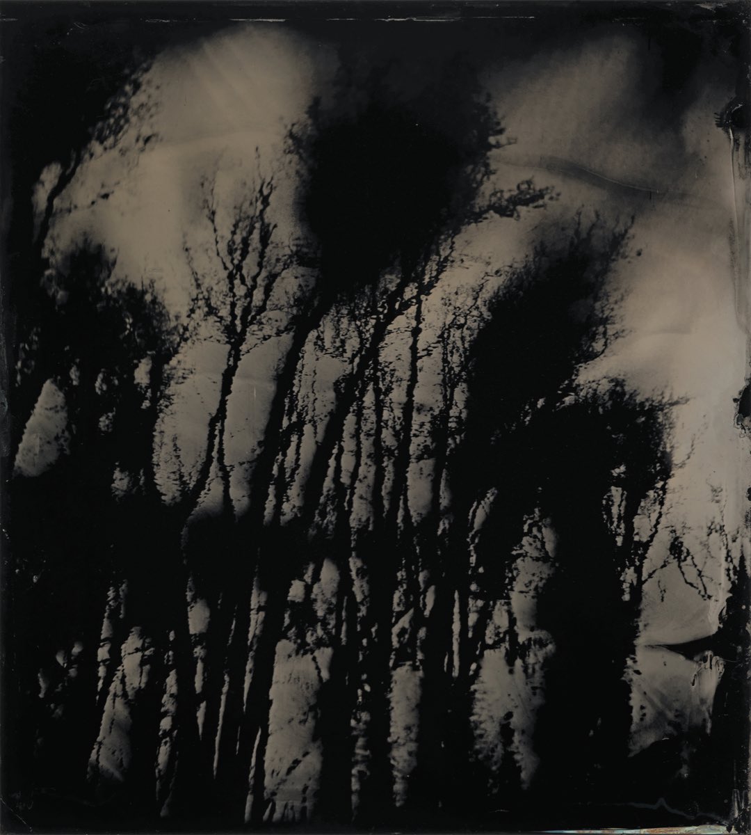 Sally Mann S Haunting Photographs Exhibited At The National Gallery Of Art The Eye Of Photography Magazine