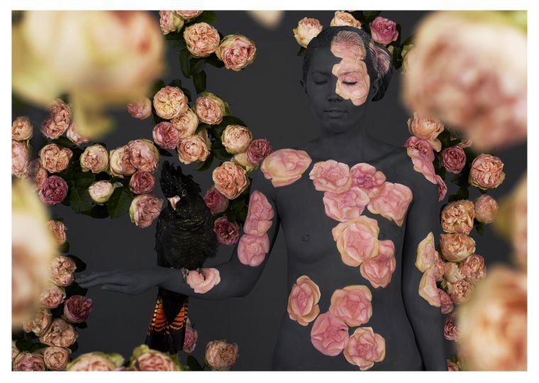 Flights of Fancy Shadow with Roses © Emma Hack