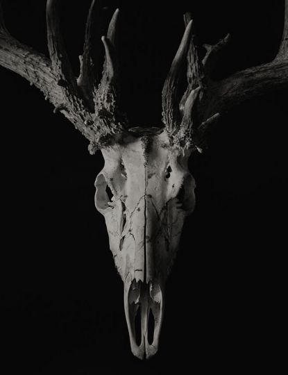 A Faraway 25, 2012 © Yumiko Izu
