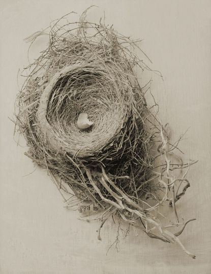 Icarus 11, 2016 © Yumiko Izu