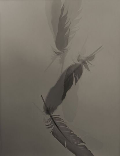 A Icarus 23, 2016 © Yumiko Izu