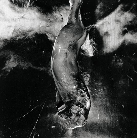 Shomei Tomatsu - A Bottle melted and deformed by atomic bomb heat, radiation, and fire, Nagasaki, 1961 Collection of the Tokyo Photographic Art Museum, Tokyo © Shomei Tomatsu –INTERFACE / Courtesy of Taka Ishii Gallery Photography / Film