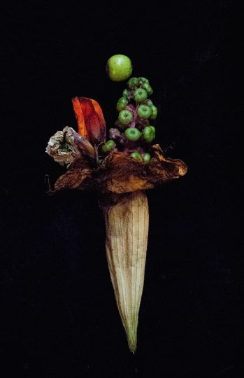 nancy-oliveri-the-assassin-flower-the-eye-of-photography-magazine