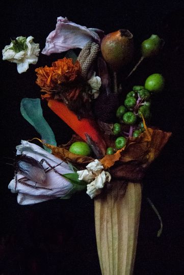 nancy-oliveri-the-assassin-flower-the-eye-of-photography-magazine