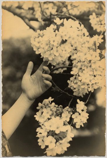 Yamamoto Masao_#1258 @courtesy galerie Camera Obscura