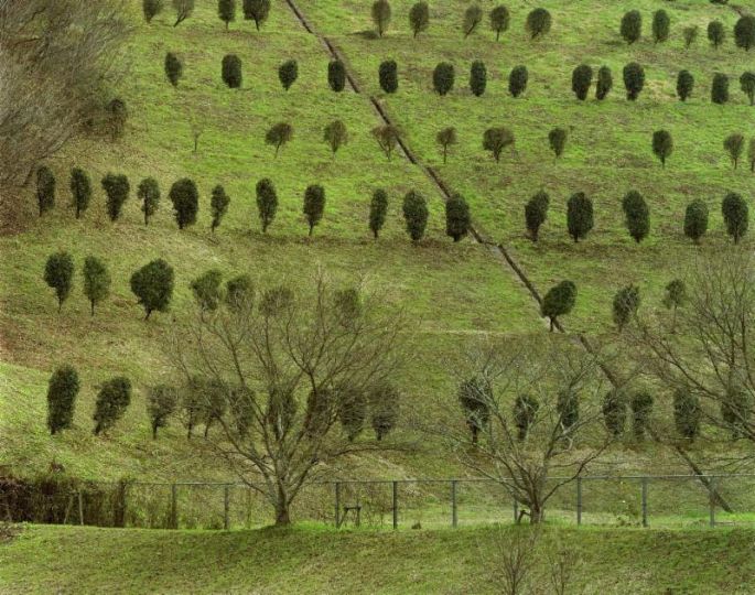 Toshio Shibata, Okayama City, Okayama Prefecture, 2015